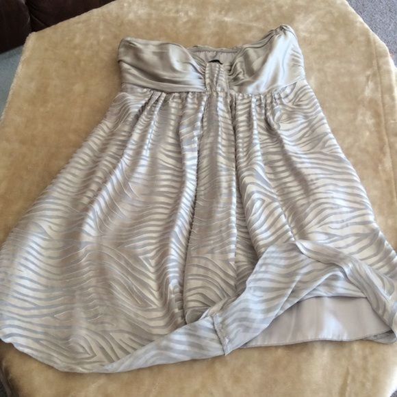 Express Dresses & Skirts - 👀💞SILVER silky mini dress💞